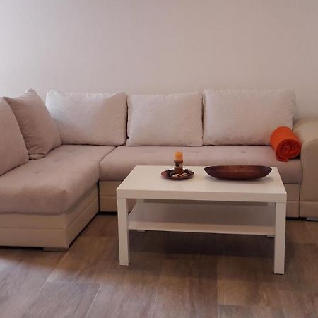 Apartment Nena- Apartman Sa Posebnim Ulazom U Prizemlju, Terasom I Zelenom Okucnicom Rakotule Екстериор снимка