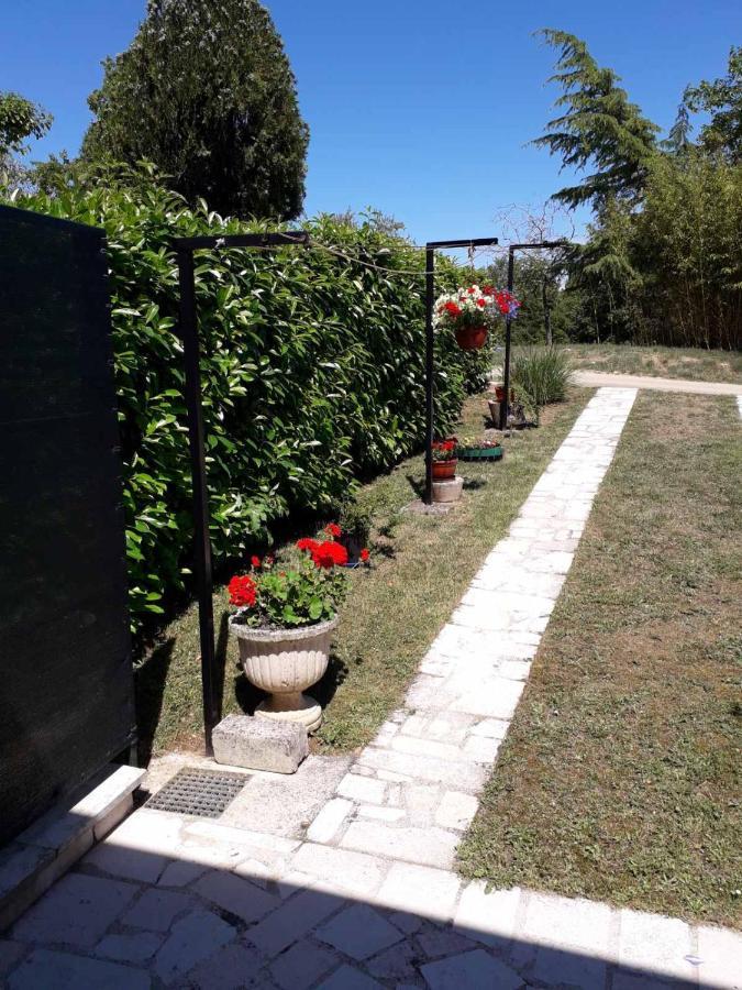Apartment Nena- Apartman Sa Posebnim Ulazom U Prizemlju, Terasom I Zelenom Okucnicom Rakotule Екстериор снимка