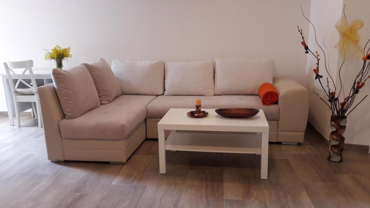 Apartment Nena- Apartman Sa Posebnim Ulazom U Prizemlju, Terasom I Zelenom Okucnicom Rakotule Екстериор снимка