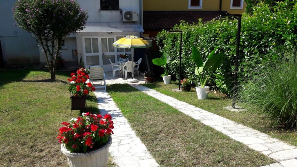 Apartment Nena- Apartman Sa Posebnim Ulazom U Prizemlju, Terasom I Zelenom Okucnicom Rakotule Екстериор снимка